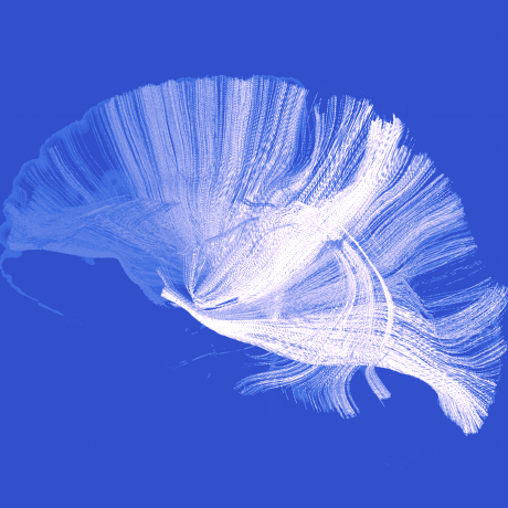 Github Coaxlab Multimodal Imt - Premium Colorful Wallpaper Gallery - Desktop