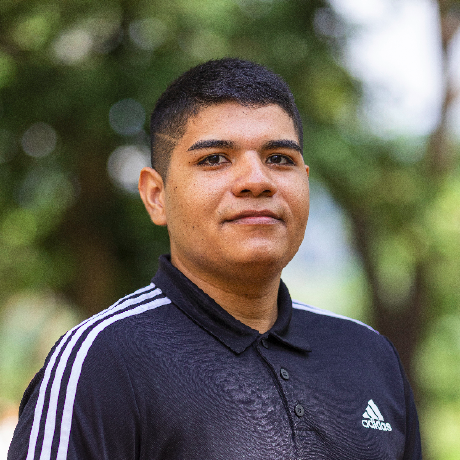 Lssno Alysson Oliveira Github - Premium Colorful Illustration Gallery - HD