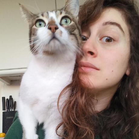 Github Marinapapa Swarmverse An R Package For The Comparative - Gradient Picture Collection - HD Quality