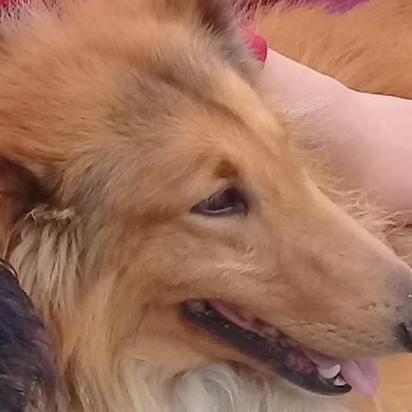 Dacai Fa Fausto Disher Github - Download Stunning Vintage Art | HD