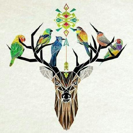 Wanghan Wangh Github - Premium Abstract Illustration Gallery - 8K