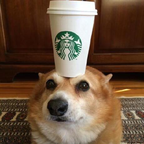 Aerick Github - Premium Abstract Background Gallery - 4K