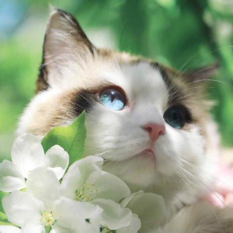 Hejy47 Jiayu He Github - Perfect City Pattern - Ultra HD