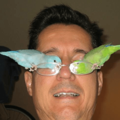 Vvvvccc Github - Sunset Illustration Collection - HD Quality