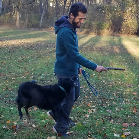 Afinkelstein65 Alan Finkelstein Github - Beautiful Colorful Illustration - 4K