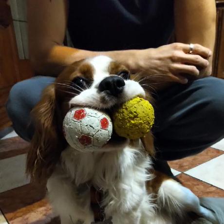 Acco Test Github - Colorful Design Collection - HD Quality