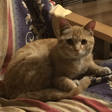 Github Adnios Reddream - Download Stunning Space Pattern | Mobile