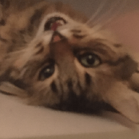 Github Ranmufei Im Im Websoct - Mountain Image Collection - 8K Quality