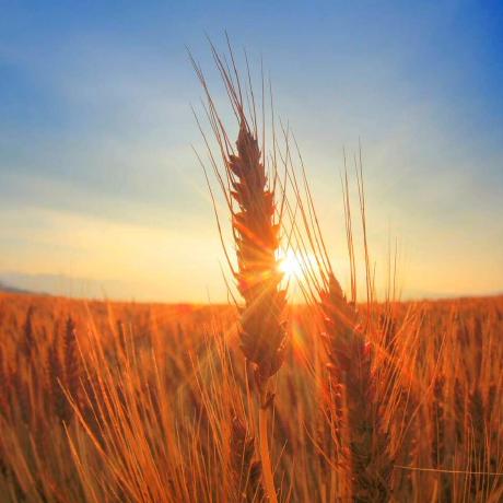 Github Xyygudu Mymuduo C 11 Muduo - Mountain Illustrations - Gorgeous HD Collection