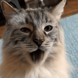 Github Cnnrde Phasmoeditor Easily Edit Phasmophobia Save Files - Professional Vintage Background - Full HD