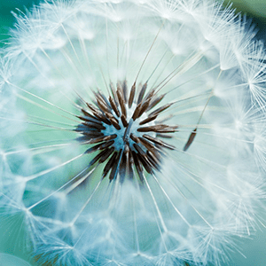 Dza Dunp Dzenan Avdic Github - Download Elegant Landscape Illustration | 4K