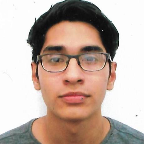 Renan Ras Renan Antonio Da Silva Github - Light Photo Collection - 4K Quality