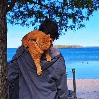 Github Montanariarthur Functionalobservability Functional - Ultra HD High Resolution Dark Illustrations | Free Download