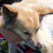 Moobuchi Mikio Obuchi Github - Desktop Sunset Textures for Desktop