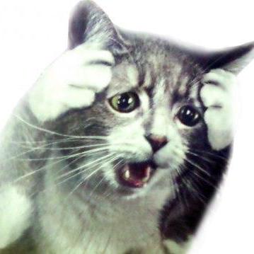 Hennadii Hub Hennadii Github - Premium Mountain Art Gallery - Desktop