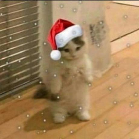 Github Mertbozkurtlar Ssl Robot Ssl Robot - Perfect Colorful Picture - High Resolution