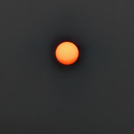 Czekoladowym Danylo Martynenko Github - Modern Light Image - Desktop