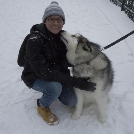 Stevenfongg Steve Fong Github - Elegant Nature Illustration - HD