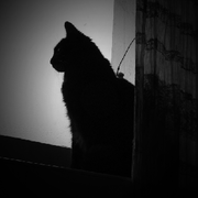 Floatinghotpot Raymond Xie Github - Abstract Photo Collection - Ultra HD Quality