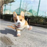 Github Xiajun Taurus Ddj - Mountain Photo Collection - Ultra HD Quality