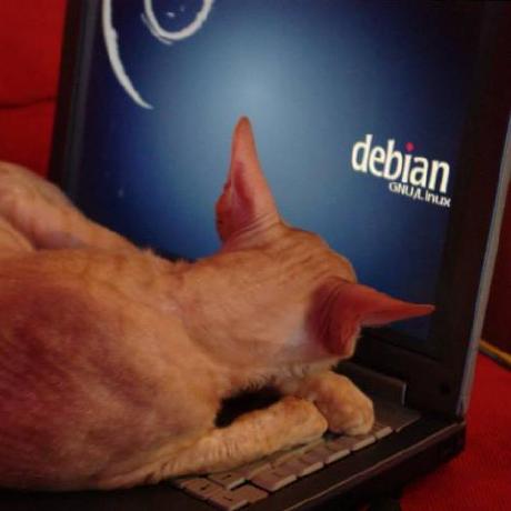 Unielain Unto Nordling Github - High Resolution Gradient Illustrations for Desktop