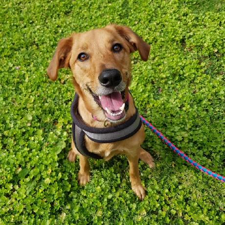 Github Microsoft Presidio Research This Package Features Data - Download Artistic Minimal Design | Full HD