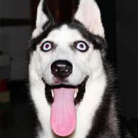 Nickj609 Nick Github - Download High Quality Landscape Wallpaper | 8K