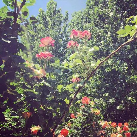 Issue 4 Colaplusice Movie Recommend Github - Desktop City Patterns for Desktop