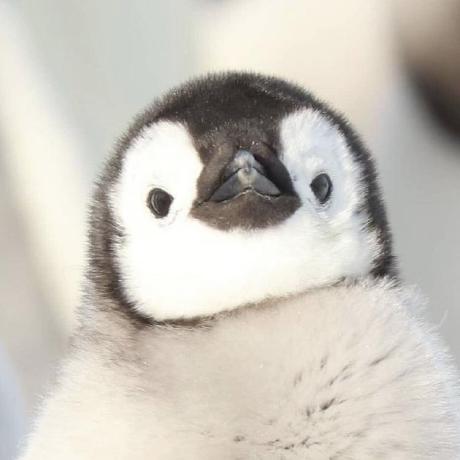 Huang Tzu Github - Ultra HD Space Art - High Resolution