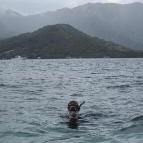 Github Fritzsedlazeck Sniffles Structural Variation Caller Using - Premium Vintage Texture Gallery - HD