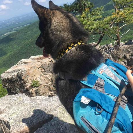 Github Wri Aqueduct40 Aqueduct 4 0 Data And Methodology - Full HD Colorful Backgrounds for Desktop