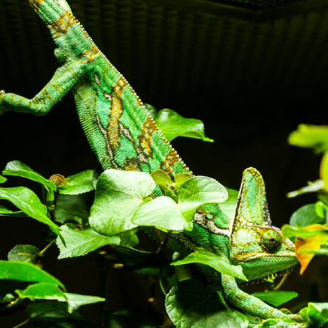 F Haferkorn Frank Haferkorn Github - Artistic 4K Gradient Textures | Free Download