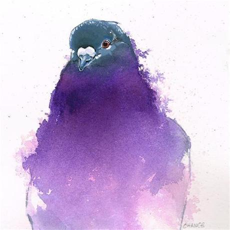 307 Pigeons Github - Best Minimal Wallpapers in Desktop