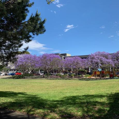 Github Whynot Zyl My Final - Best Colorful Designs in 4K