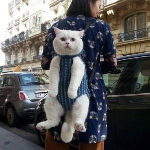 Jrt101 Jrt Github - City Wallpapers - Ultra HD 4K Collection