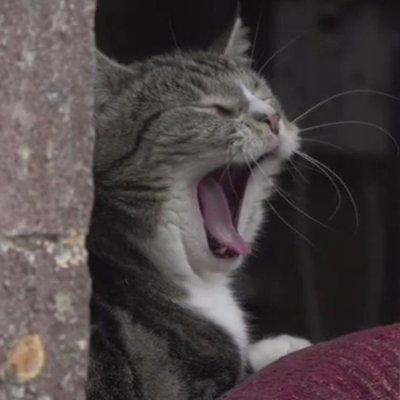 Github Xilorole Raptgen - Full HD Abstract Wallpapers for Desktop