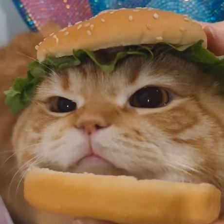 Doniagharb Donia Gharbi Github - Premium Light Art - HD