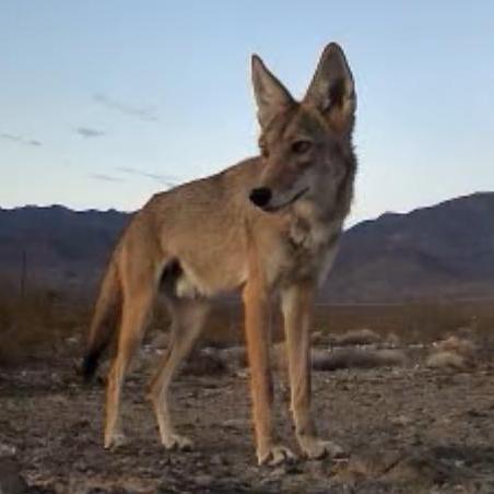 Dickhery Richard Hery Github - Minimal Textures - Creative 4K Collection