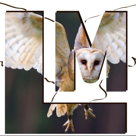 Lifemapper Docs - Mountain Photo Collection - Mobile Quality