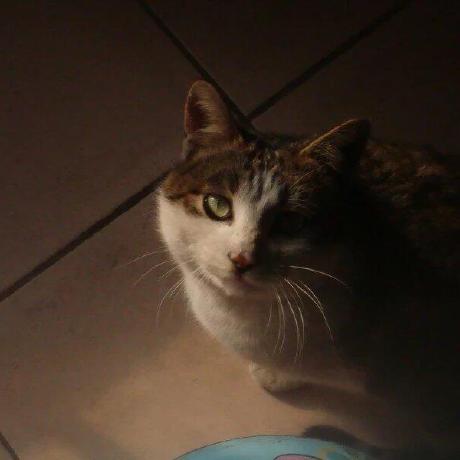 Github Deepwzh Sdust Examination Materials - Gradient Picture Collection - 4K Quality