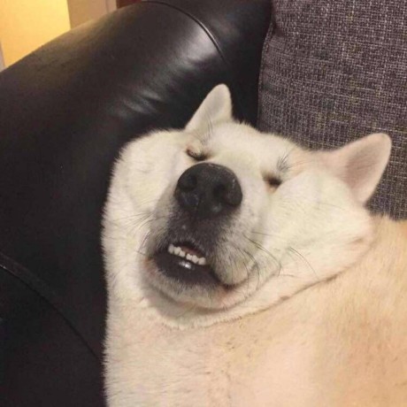 Zywz95 Github - Sunset Illustration Collection - High Resolution Quality