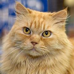 Github Unisung Yeouido - Abstract Photos - High Quality Ultra HD Collection