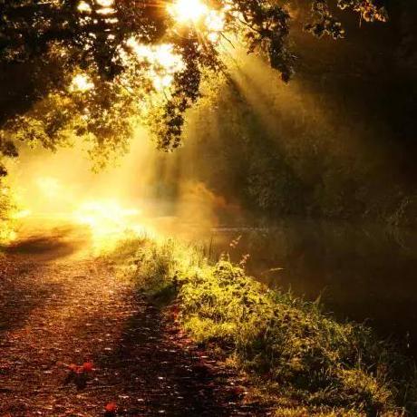 Cicichang11 Cici Chang Github - Gorgeous Space Image - Ultra HD