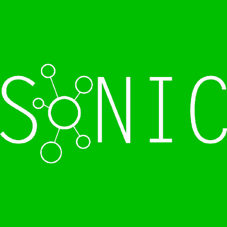 Sonic Github