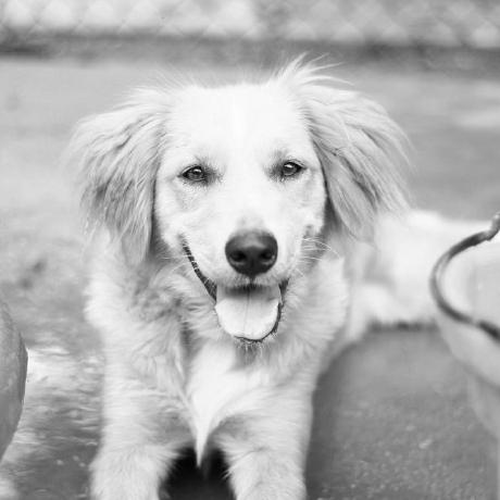 Martin 1983 Martin Github - Mountain Background Collection - HD Quality