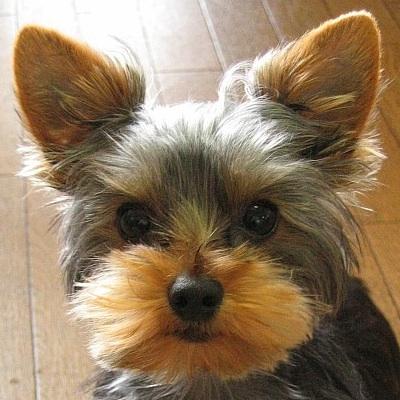 Sasudarurano Urano Github - City Patterns - Amazing Desktop Collection