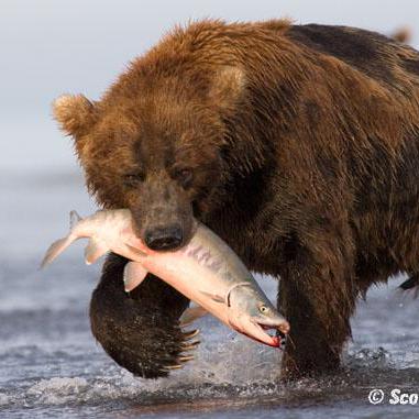 Zero1seven Charles Mcfarland Github - Classic Desktop Gradient Arts | Free Download