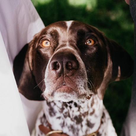 Tom Ole Github - Modern Ultra HD City Images | Free Download