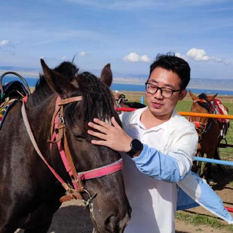 Dswang2011 Dongsheng Github - Best Abstract Illustrations in Mobile