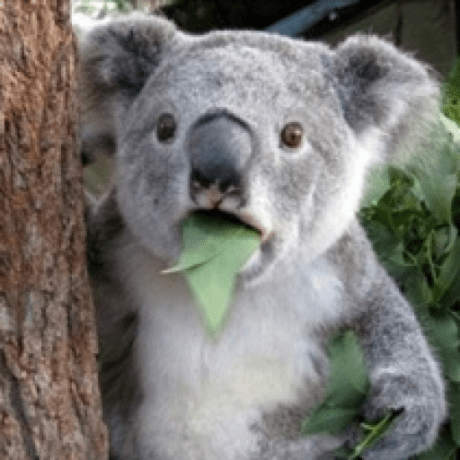 Wgroeneveld Wouter Github - Premium Sunset Background Gallery - High Resolution